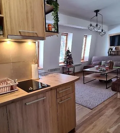Apartment Viktor&Daria Daire